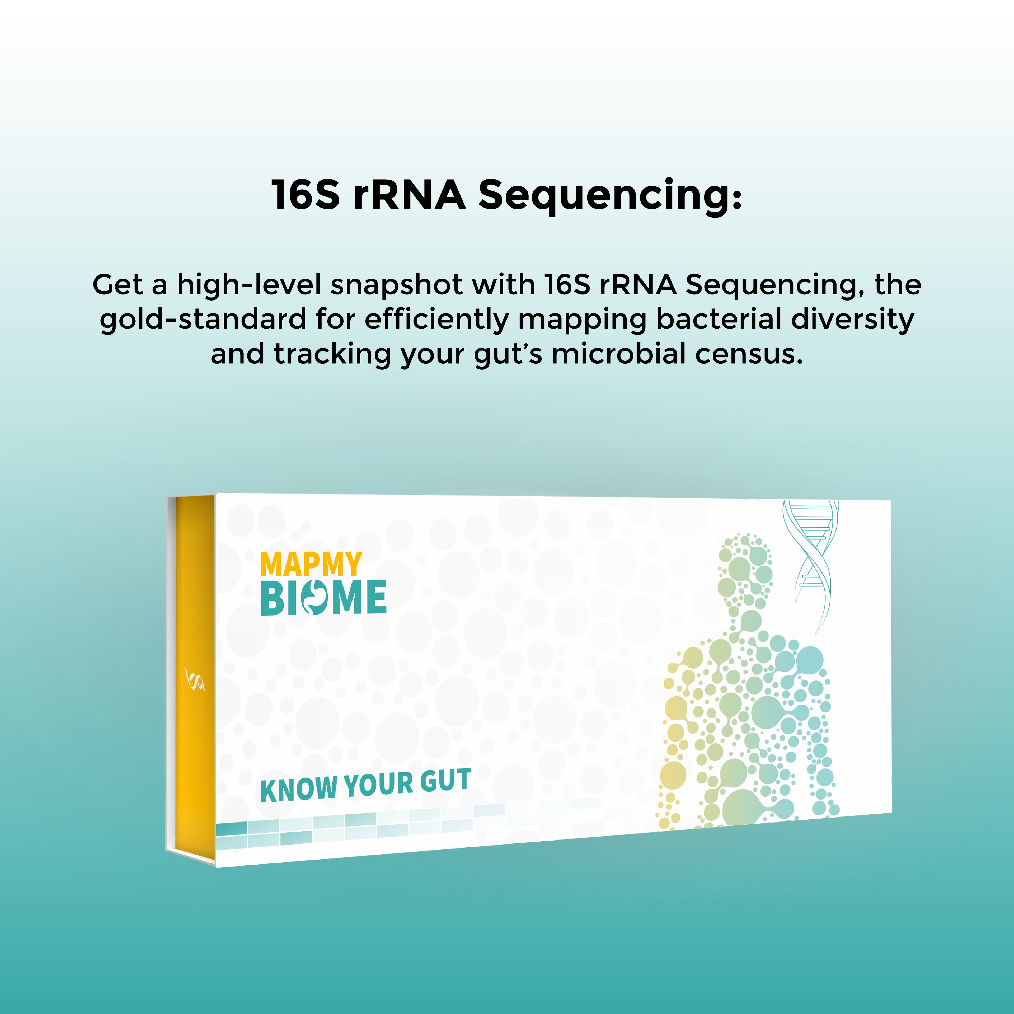 16S rRNA Sequencing