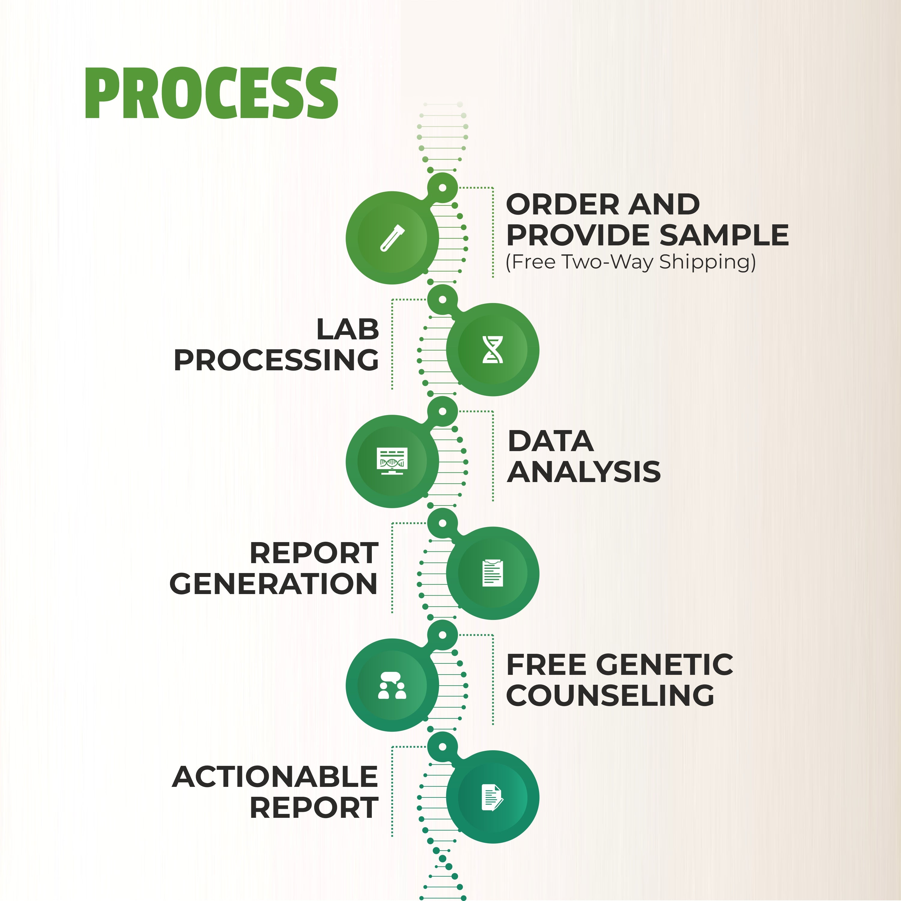 Cardiomap Test Process