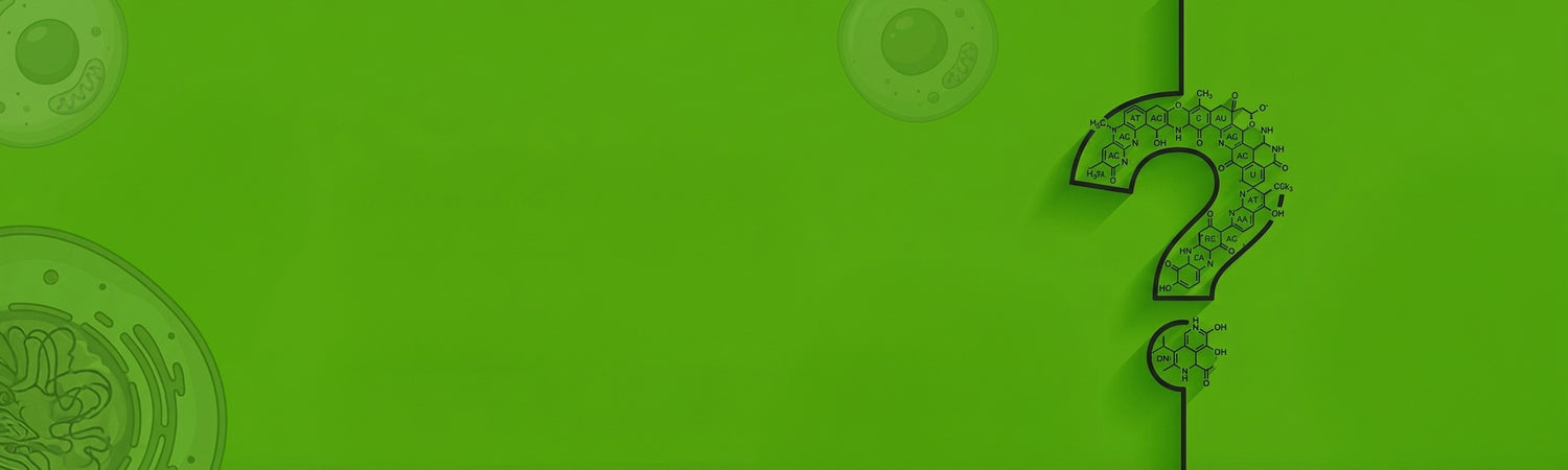 DNA_Methylation_Test_FAQs