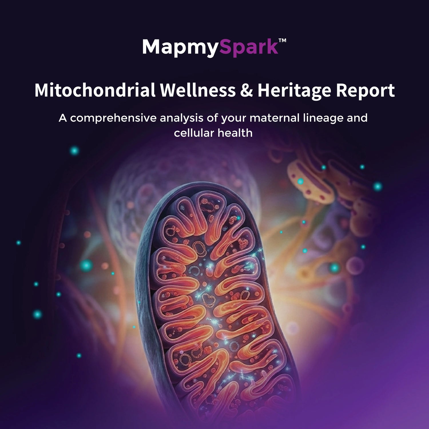 MapmySpark Mitochondrial Wellness and Heritage DNA test kit box by Mapmygenome