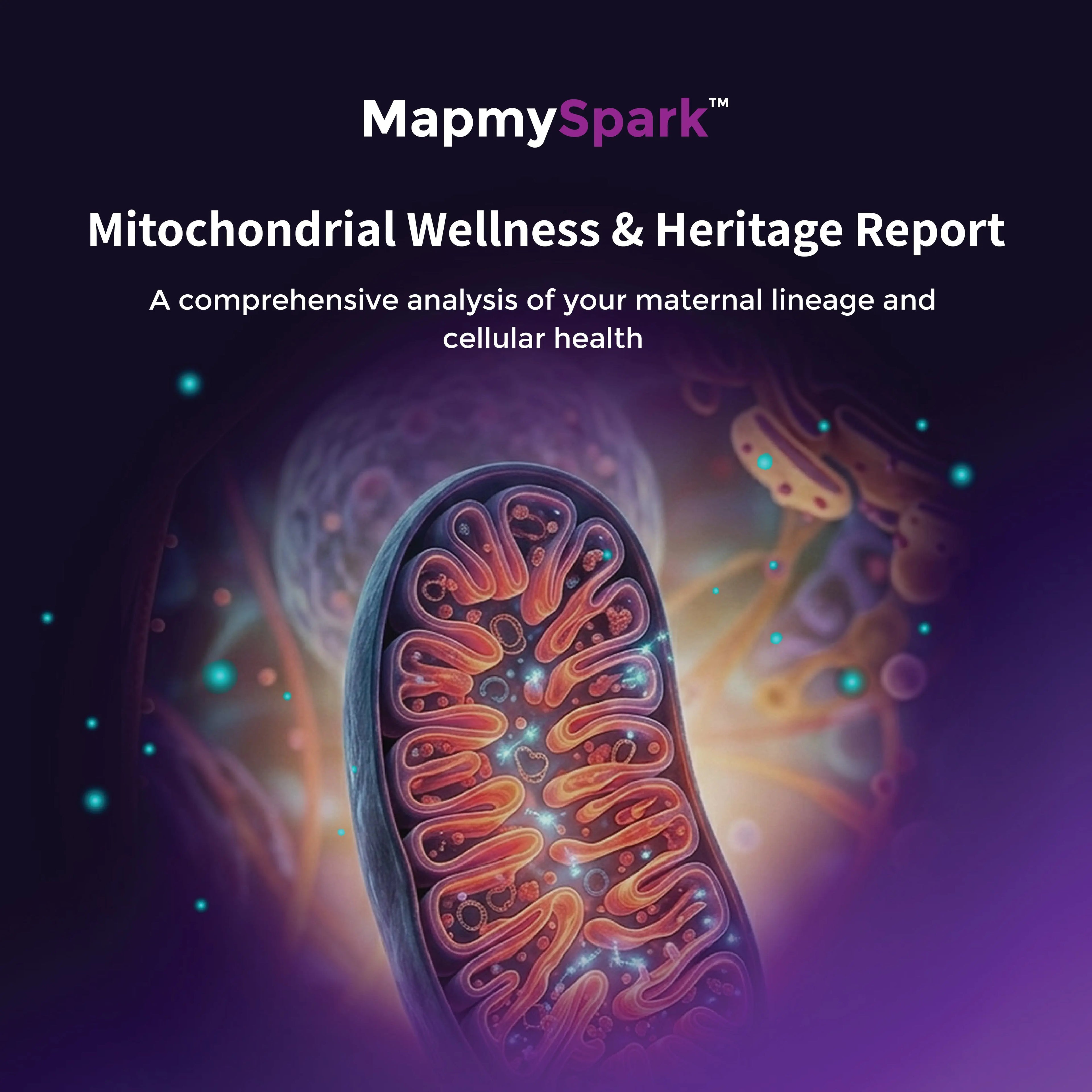 MapmySpark Mitochondrial Wellness and Heritage DNA test kit box by Mapmygenome