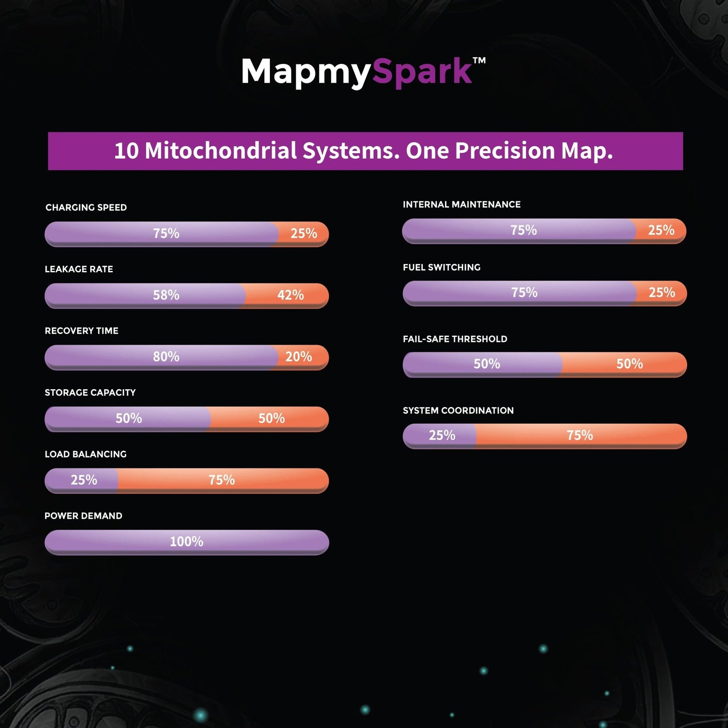 MapmySpark - The Mitochondrial Wellness & Heritage Report - Mapmygenome
