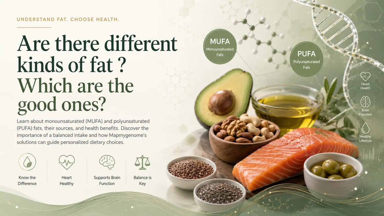 Are there different kinds of fat ? Which are the good ones? Mapmygenome