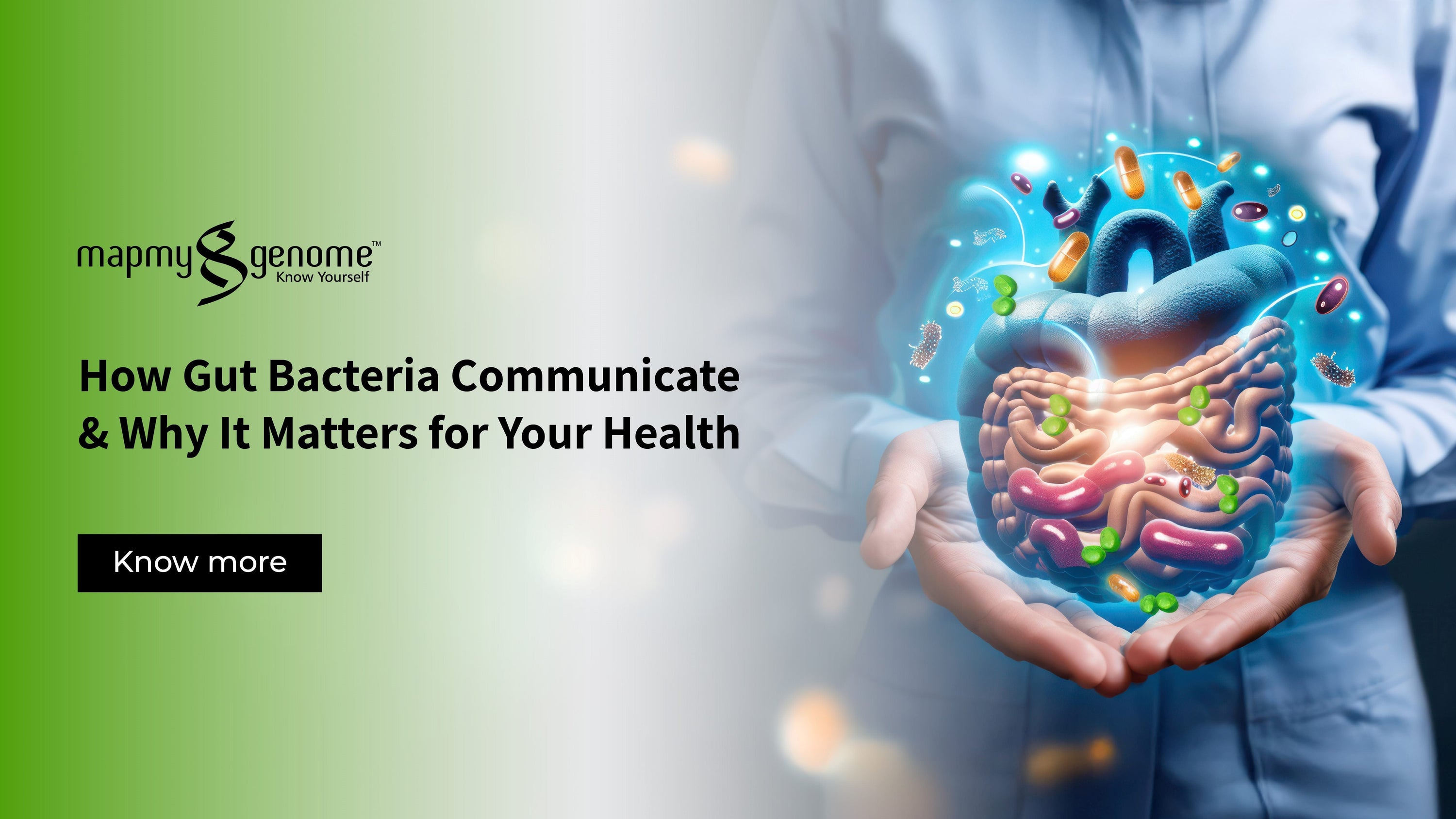 How Bacteria Talk to Each How Gut Bacteria Communicate & Why It Matters for Your Health