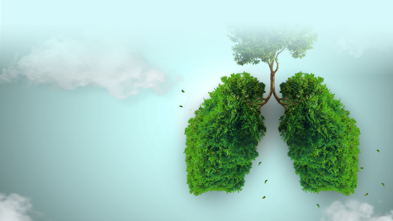 World COPD Day 2023: While we breathe, we will hope
