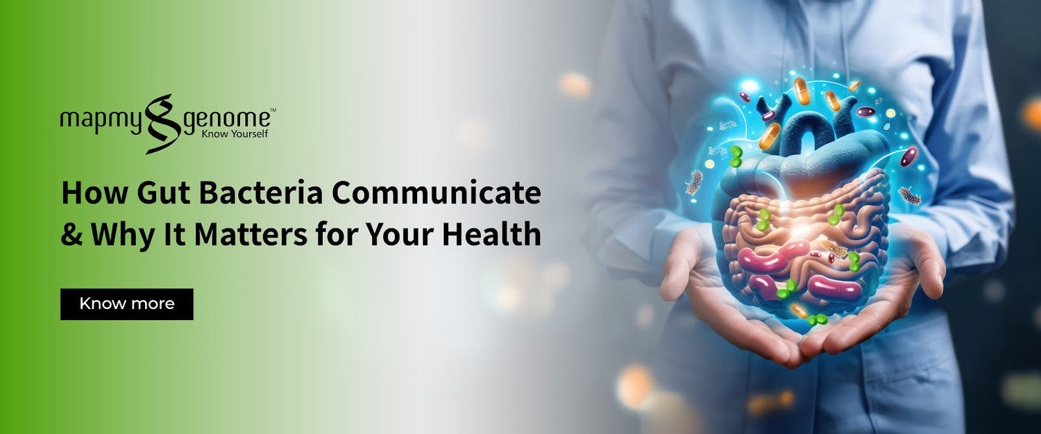 How Bacteria Talk to Each How Gut Bacteria Communicate & Why It Matters for Your Health