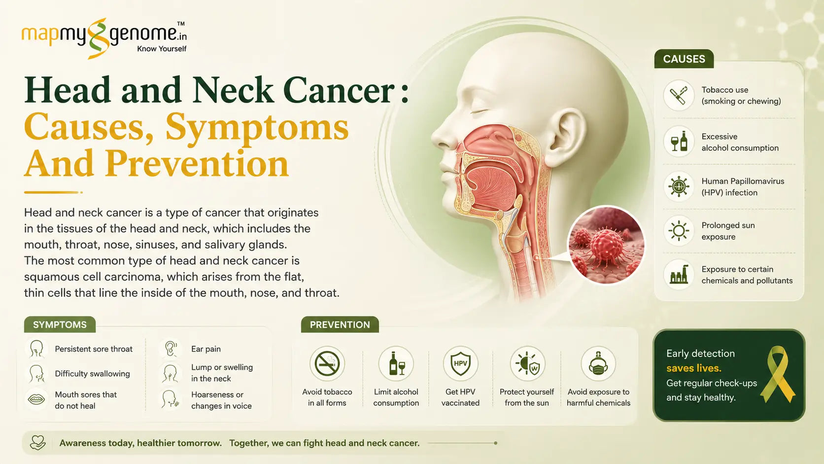 Head and Neck Cancer : Causes, Symptoms And Prevention