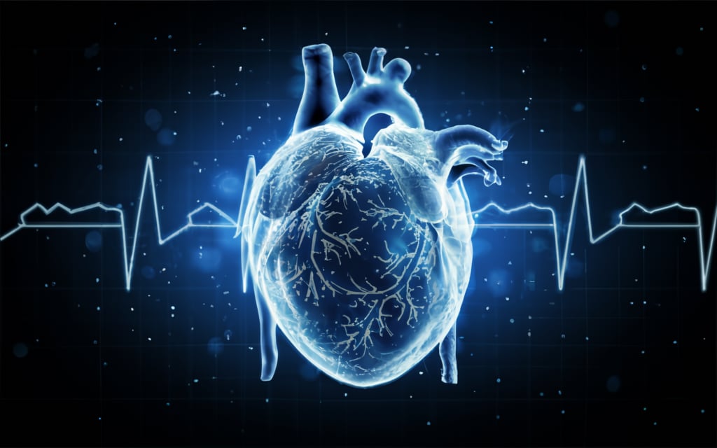 The Role of Genetics in Heart Disease - Can You Predict Your Risk