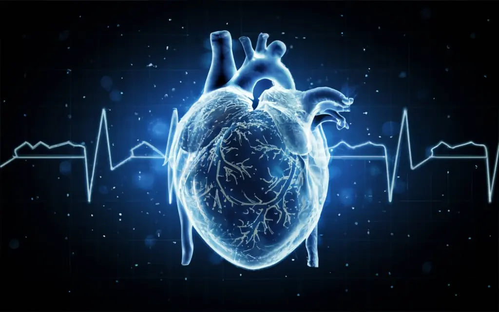 The Role of Genetics in Heart Disease - Can You Predict Your Risk