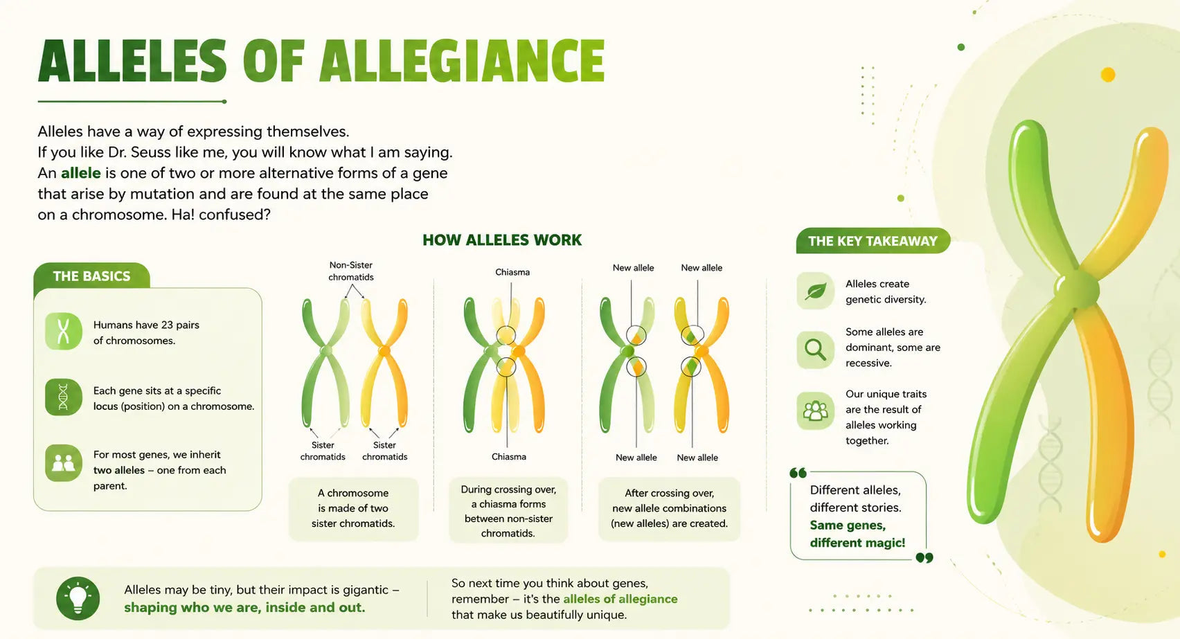 Alleles Of Allegiance - Mapmygenome