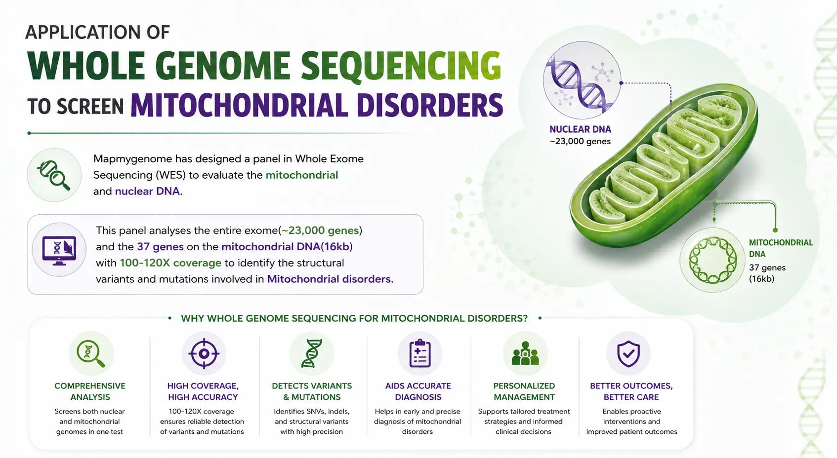 Application of Whole Genome Sequencing to screen Mitochondrial Disorders - Mapmygenome