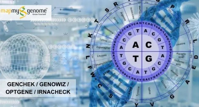 Genchek/ Genowiz/OptGene/Irnacheck - Mapmygenome