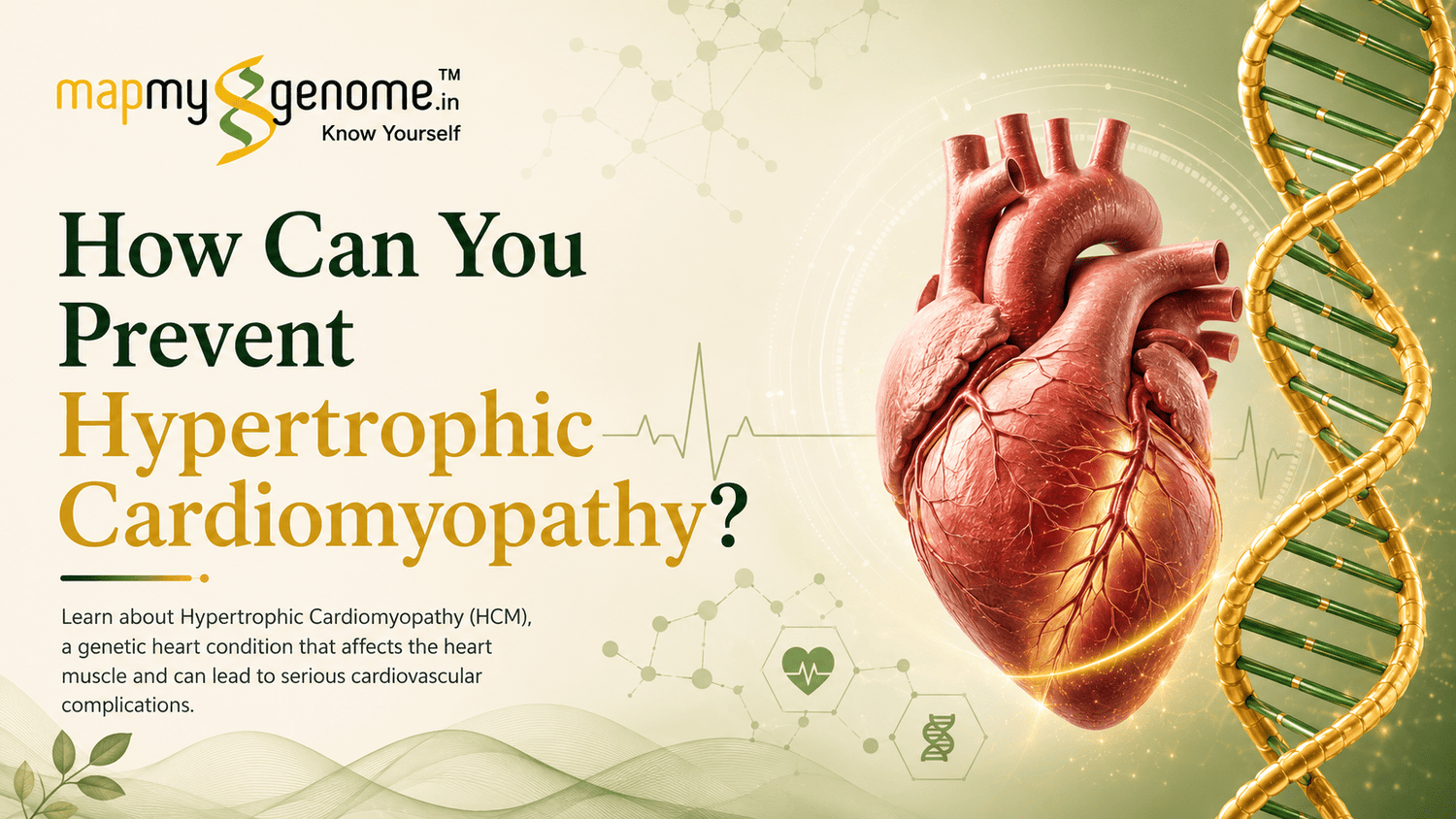 How Can You Prevent Hypertrophic Cardiomyopathy? - Mapmygenome