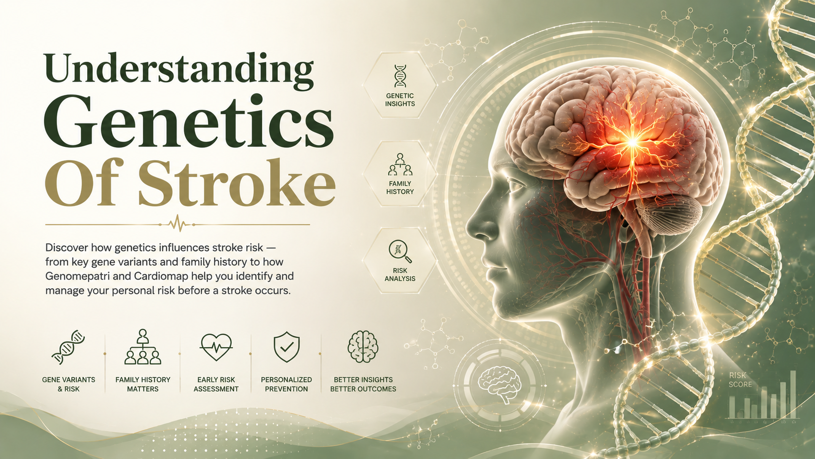 Understanding Genetics Of Stroke