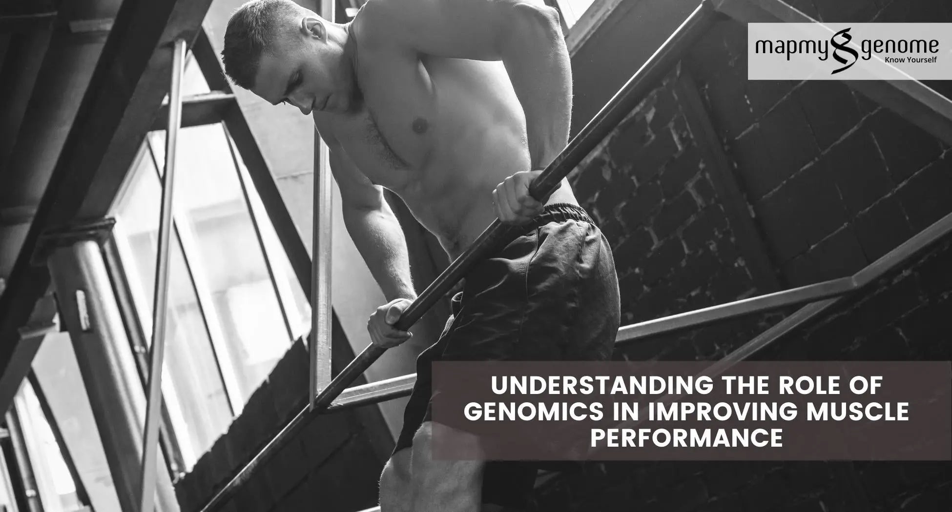 Understanding The Role of Genomics in Improving Muscle Performance - Mapmygenome