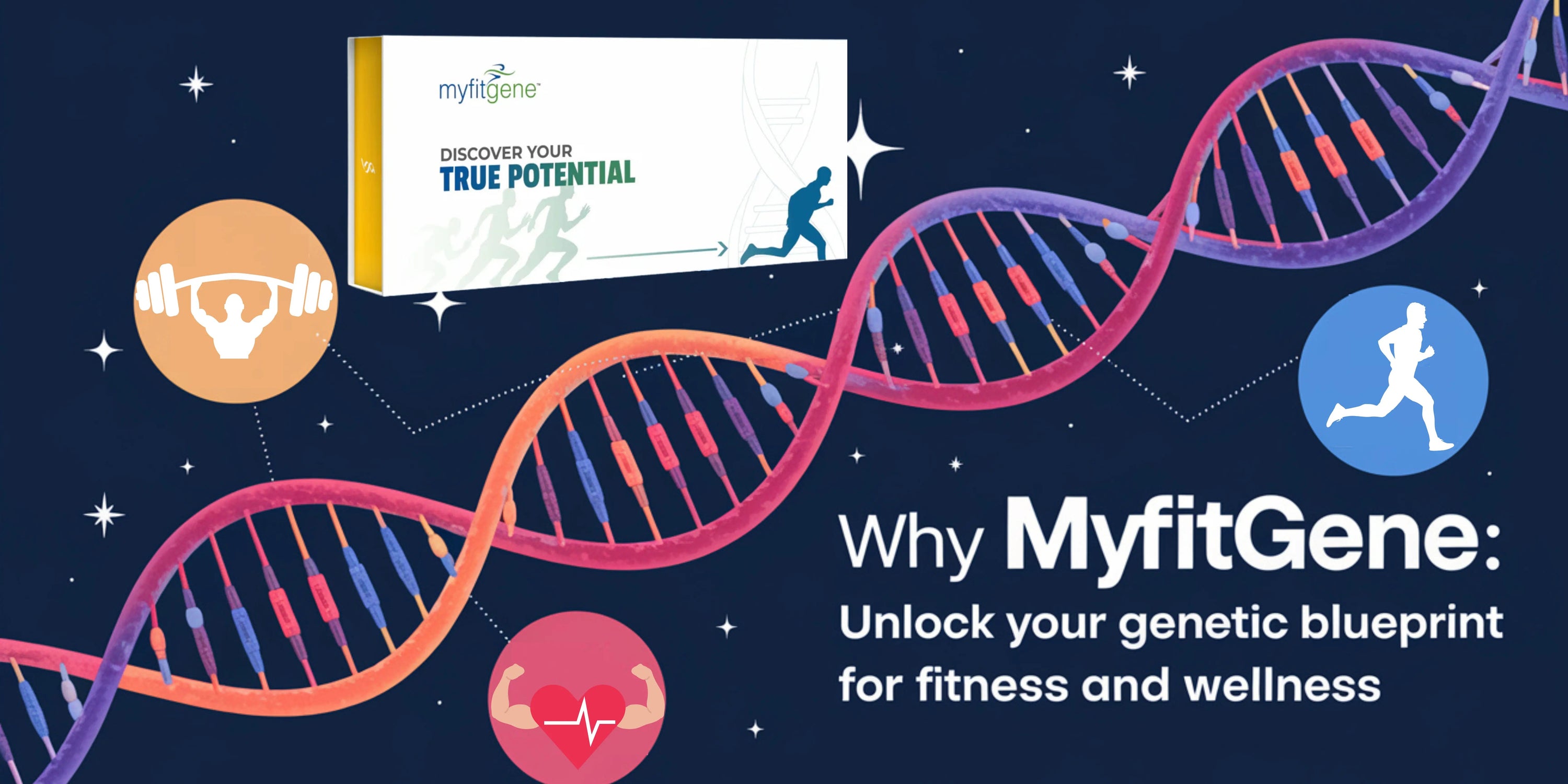 Why MyFitGene: Unlock Your Genetic Blueprint for Fitness and Wellness - Mapmygenome