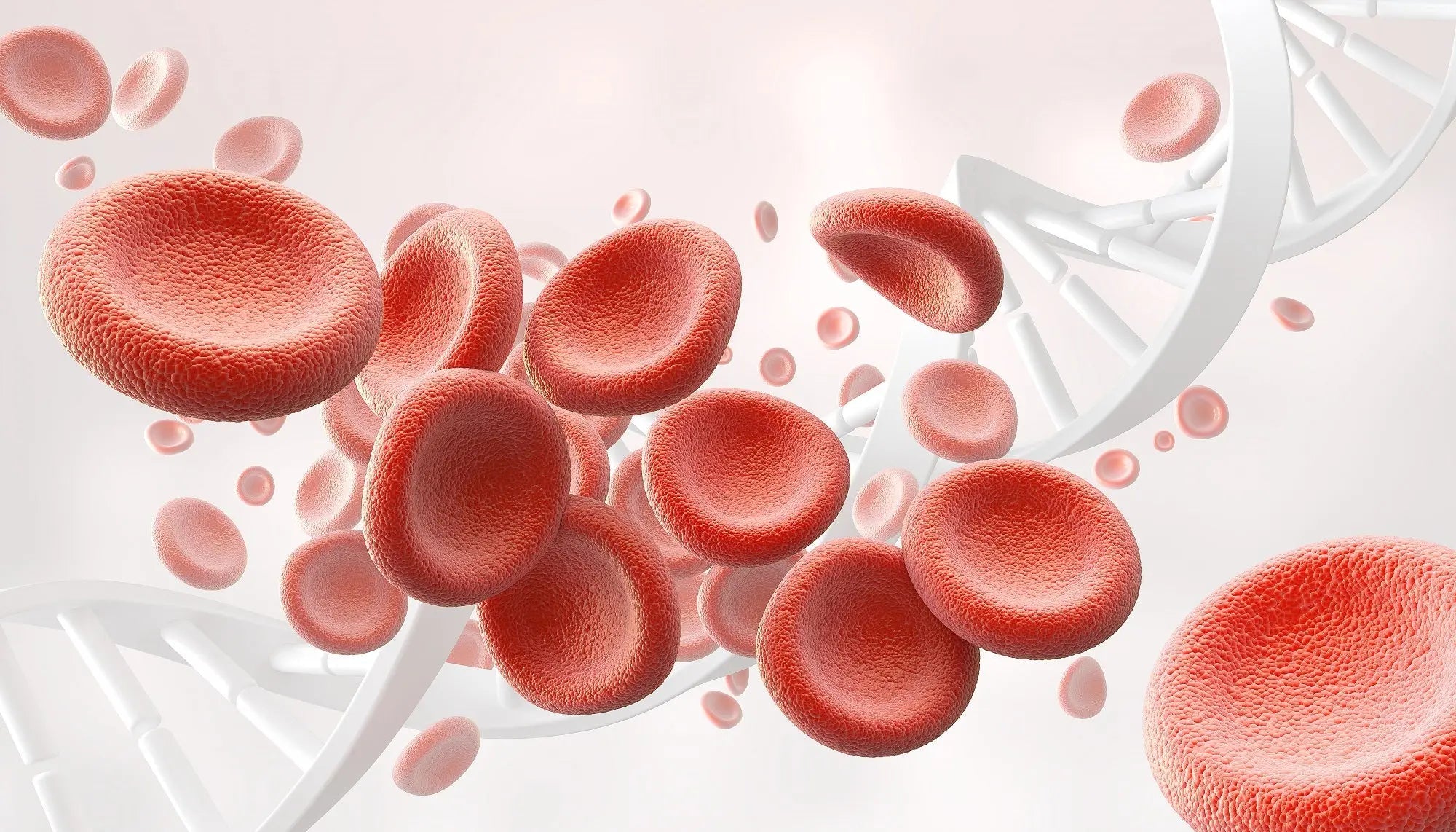 World Hemophilia Day : Equitable Access for All - Recognizing All Bleeding Disorders - Mapmygenome