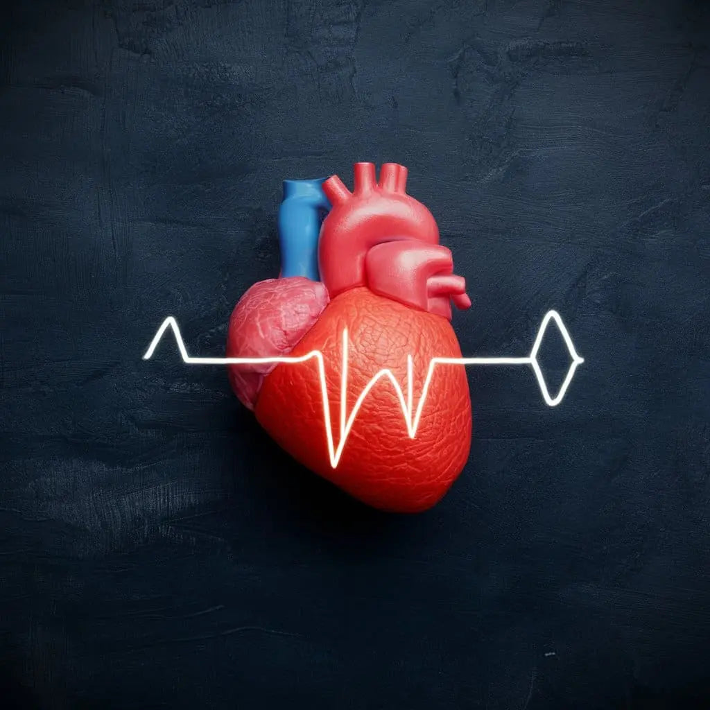 Heart