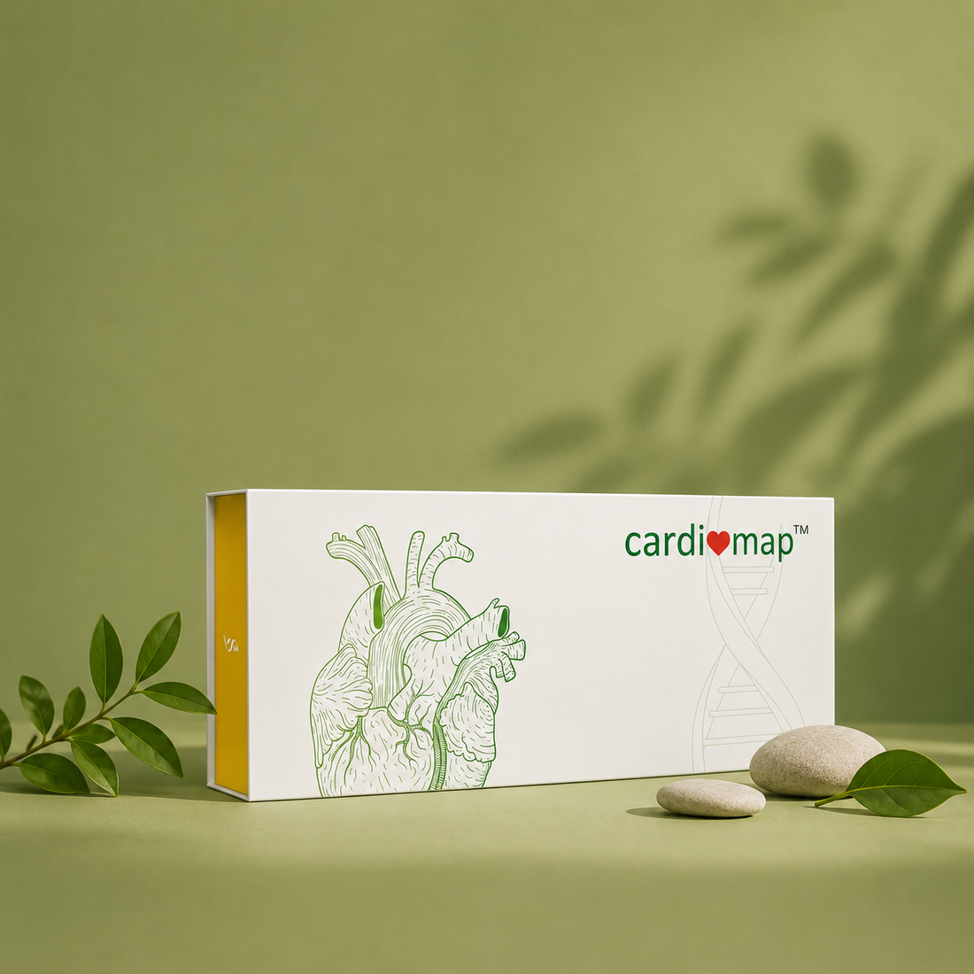 Cardiomap - For Diabetes and Cardiac Health