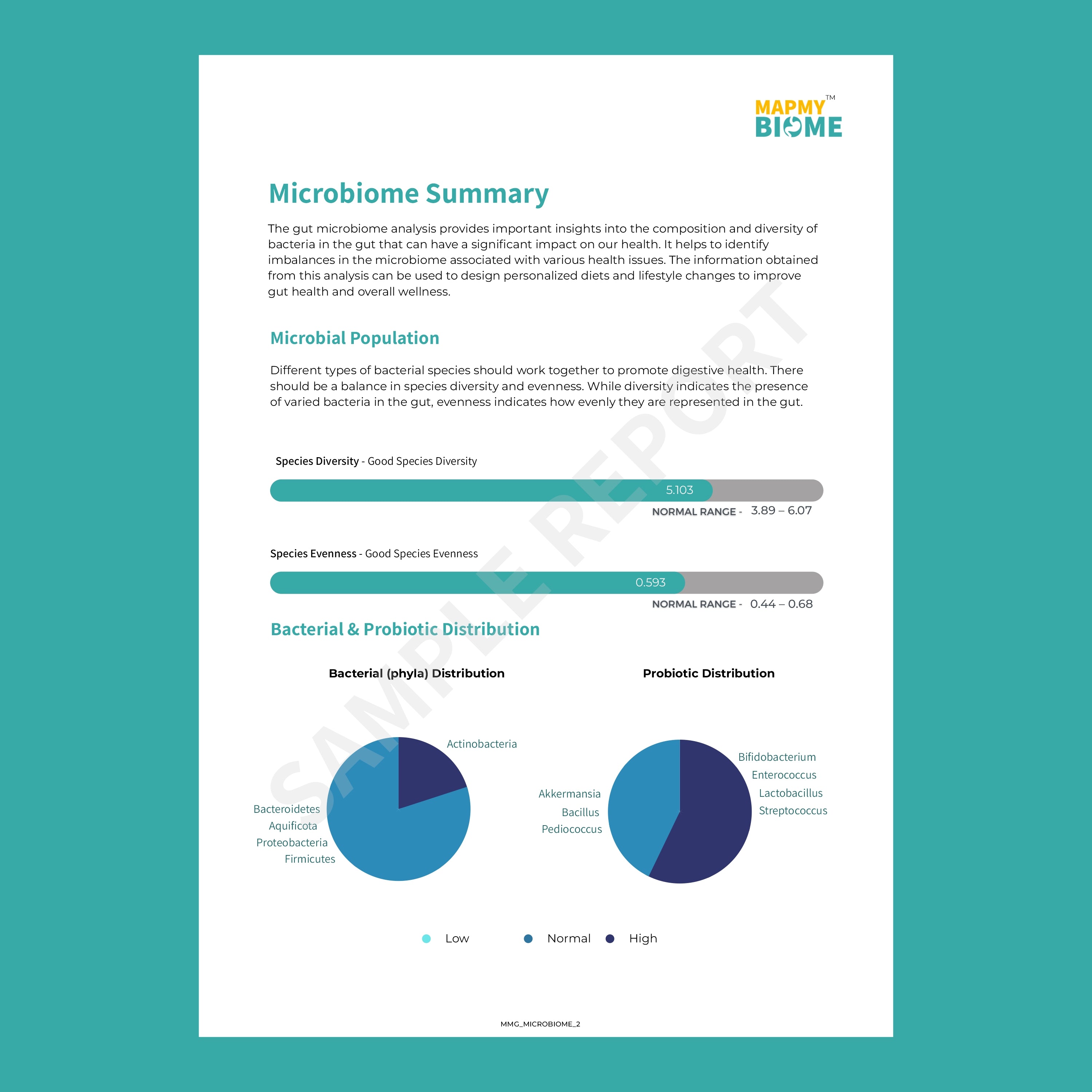 Discover Your Gut Health With MapmyBiome At Home Microbiome Test   MBG SampleReport 