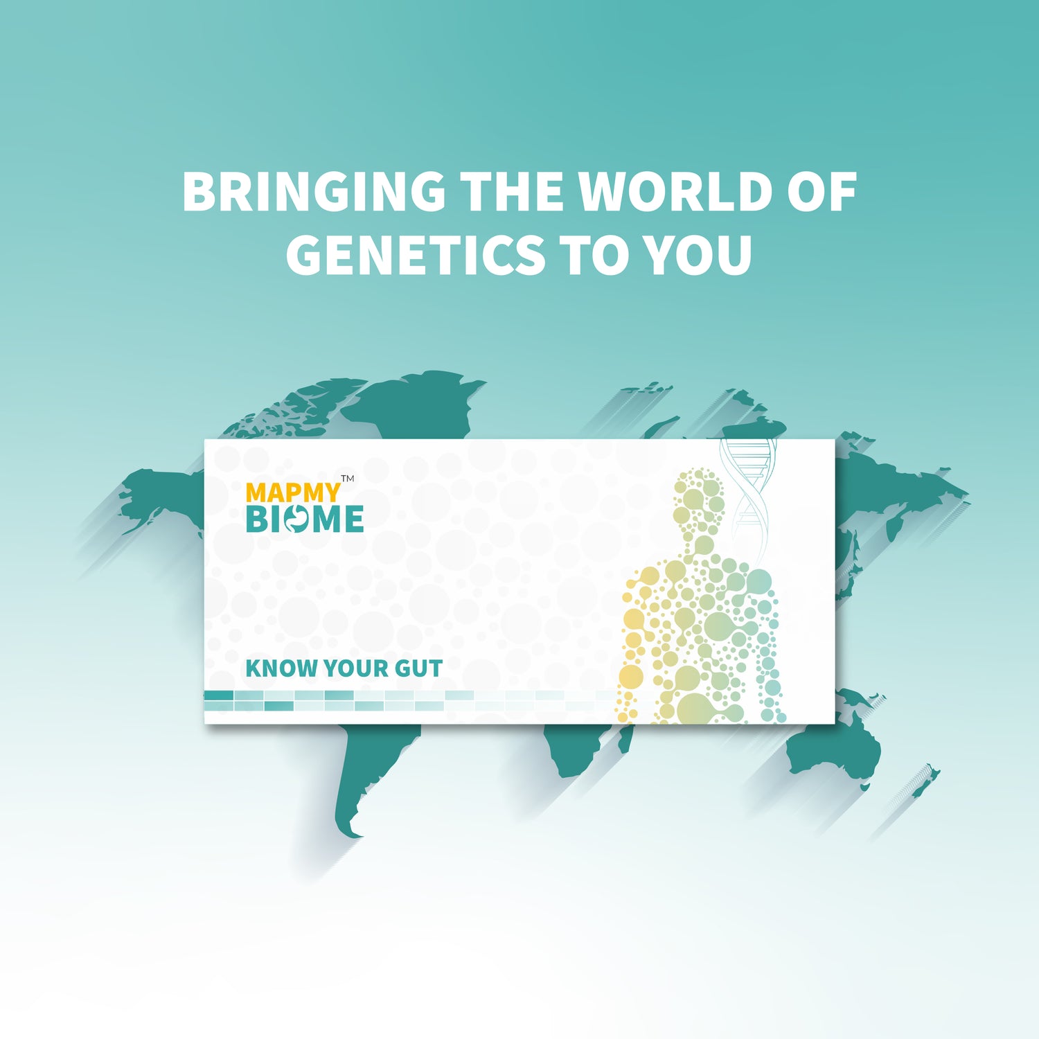 Mapmybiome - At-Home Comprehensive Gut Microbiome Test (Metagenomic Shotgun Sequencing)