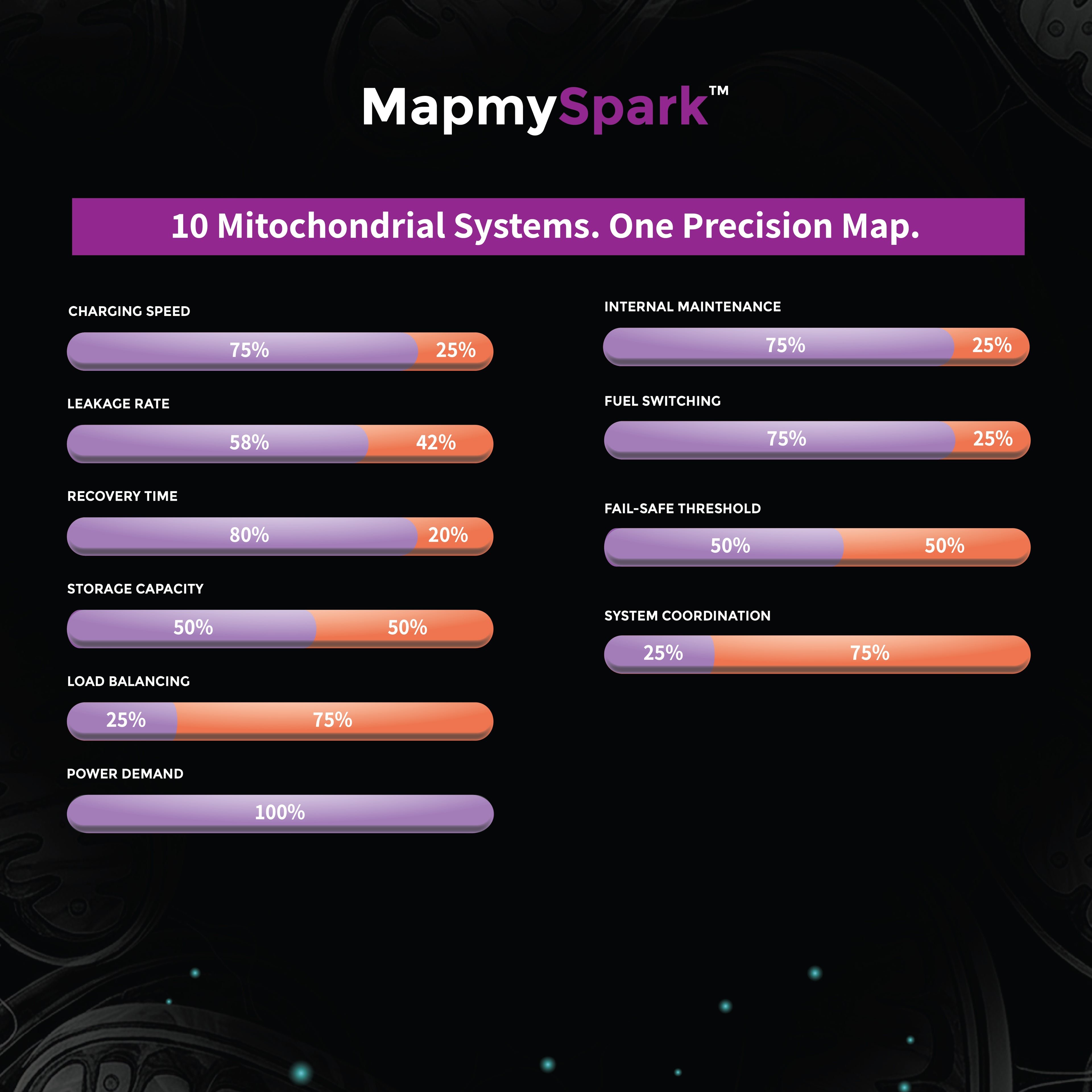 MapmySpark - The Mitochondrial Wellness &amp; Heritage Report
